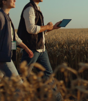 Farmers walking through field with tablet