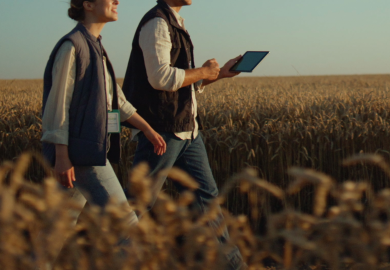 Farmers walking through field with tablet