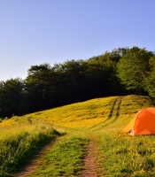 Orange tent in open field