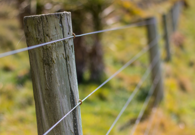 Wire fence and wooden fence posts
