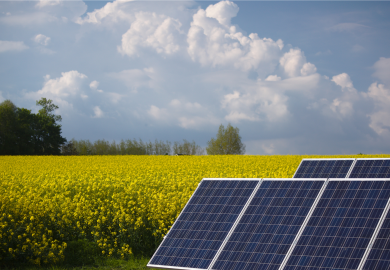 Solar panel development in farming field